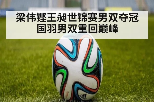 梁伟铿王昶世锦赛男双夺冠 国羽男双重回巅峰