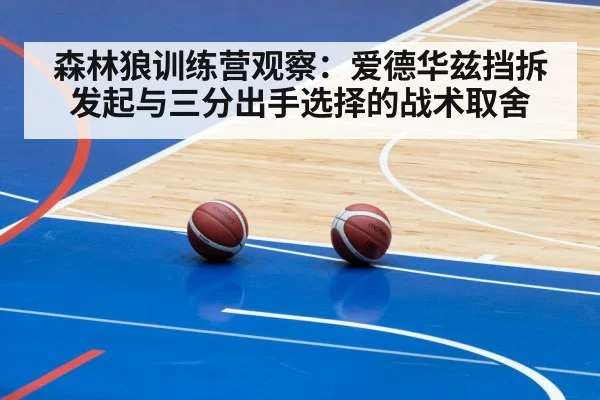 森林狼训练营观察：爱德华兹挡拆发起与三分出手选择的战术取舍