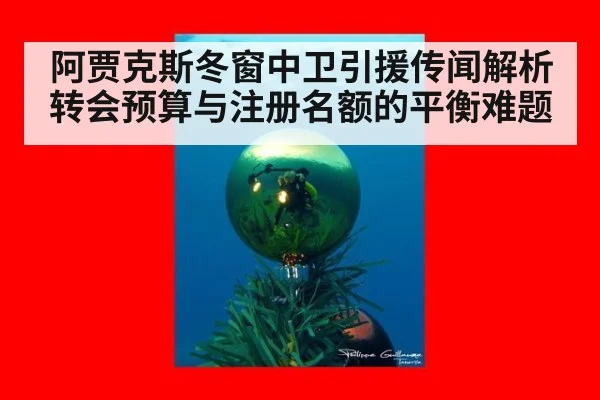 阿贾克斯冬窗中卫引援传闻解析 转会预算与注册名额的平衡难题